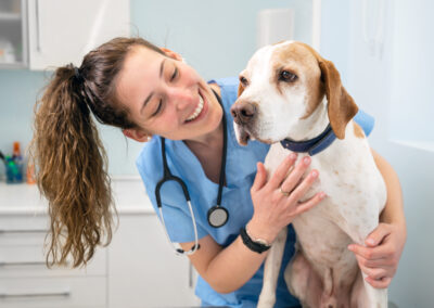 동물간호사 (Veterinary Nurse)